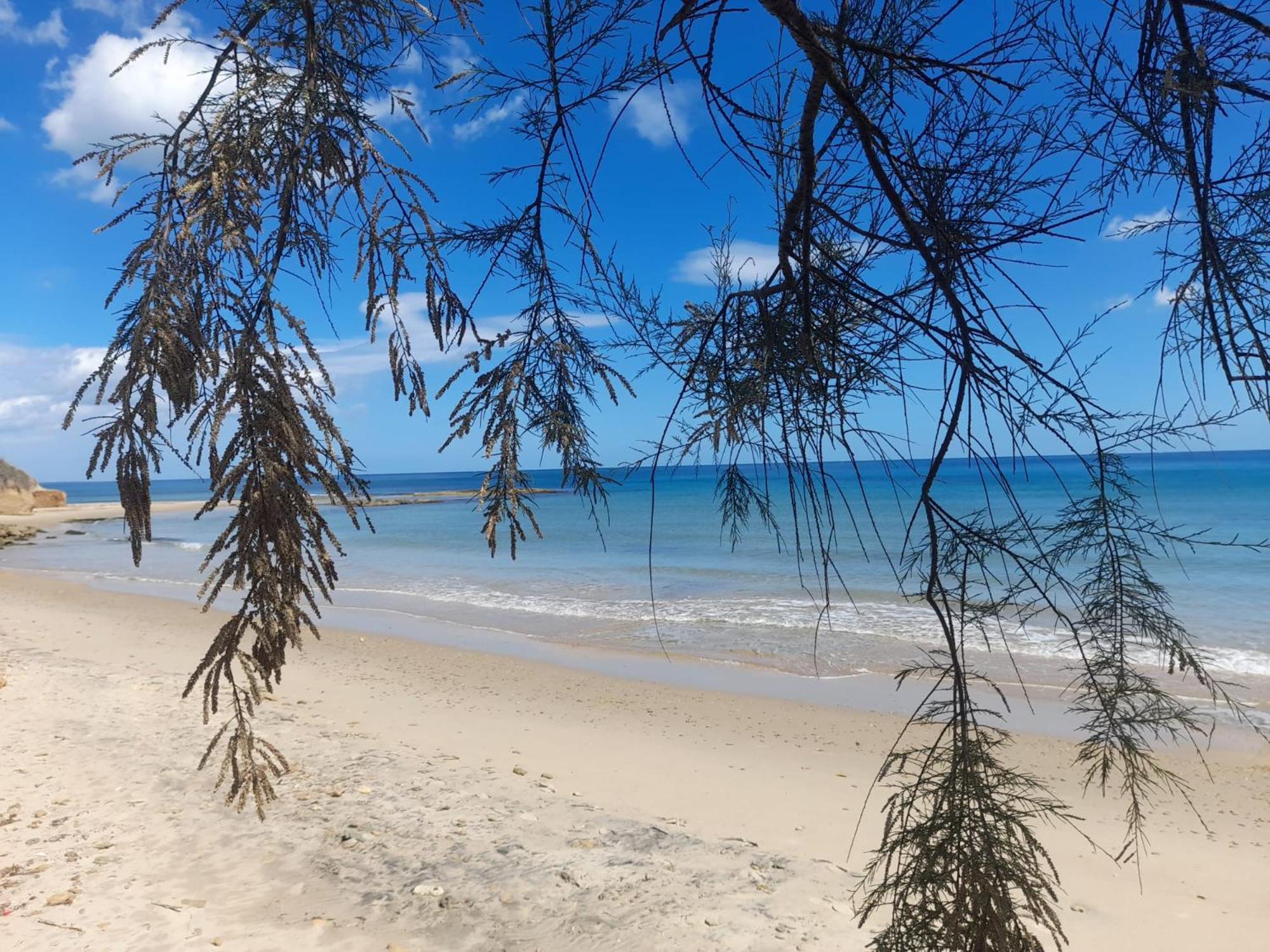 Tra Vento E Mare Daire Lendinuso Dış mekan fotoğraf